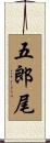 五郎尾 Scroll