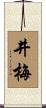 井梅 Scroll