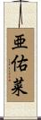 亜佑菜 Scroll