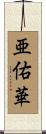 亜佑華 Scroll