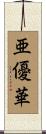 亜優華 Scroll