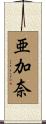亜加奈 Scroll