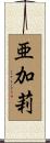 亜加莉 Scroll