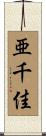 亜千佳 Scroll
