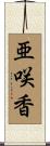 亜咲香 Scroll
