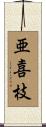 亜喜枝 Scroll