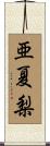 亜夏梨 Scroll