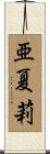 亜夏莉 Scroll