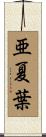 亜夏葉 Scroll