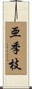 亜季枝 Scroll