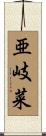 亜岐菜 Scroll