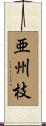 亜州枝 Scroll