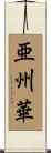 亜州華 Scroll