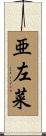 亜左菜 Scroll