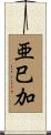 亜巳加 Scroll