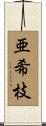 亜希枝 Scroll
