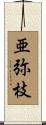 亜弥枝 Scroll