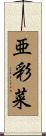 亜彩菜 Scroll