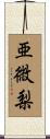 亜微梨 Scroll