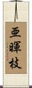 亜暉枝 Scroll