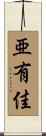 亜有佳 Scroll