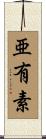 亜有素 Scroll
