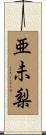亜未梨 Scroll