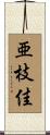 亜枝佳 Scroll