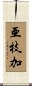 亜枝加 Scroll