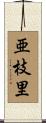 亜枝里 Scroll