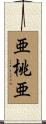 亜桃亜 Scroll