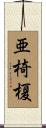 亜椅榎 Scroll