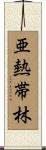 亜熱帯林 Scroll