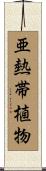 亜熱帯植物 Scroll