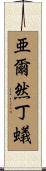 亜爾然丁蟻 Scroll