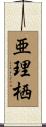 亜理栖 Scroll