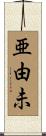 亜由未 Scroll