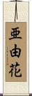 亜由花 Scroll