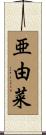 亜由菜 Scroll