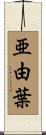 亜由葉 Scroll
