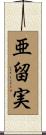 亜留実 Scroll