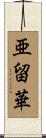 亜留華 Scroll