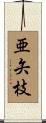 亜矢枝 Scroll