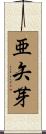 亜矢芽 Scroll