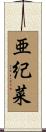 亜紀菜 Scroll