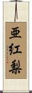 亜紅梨 Scroll