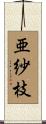 亜紗枝 Scroll