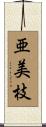 亜美枝 Scroll