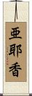 亜耶香 Scroll