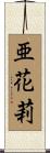 亜花莉 Scroll